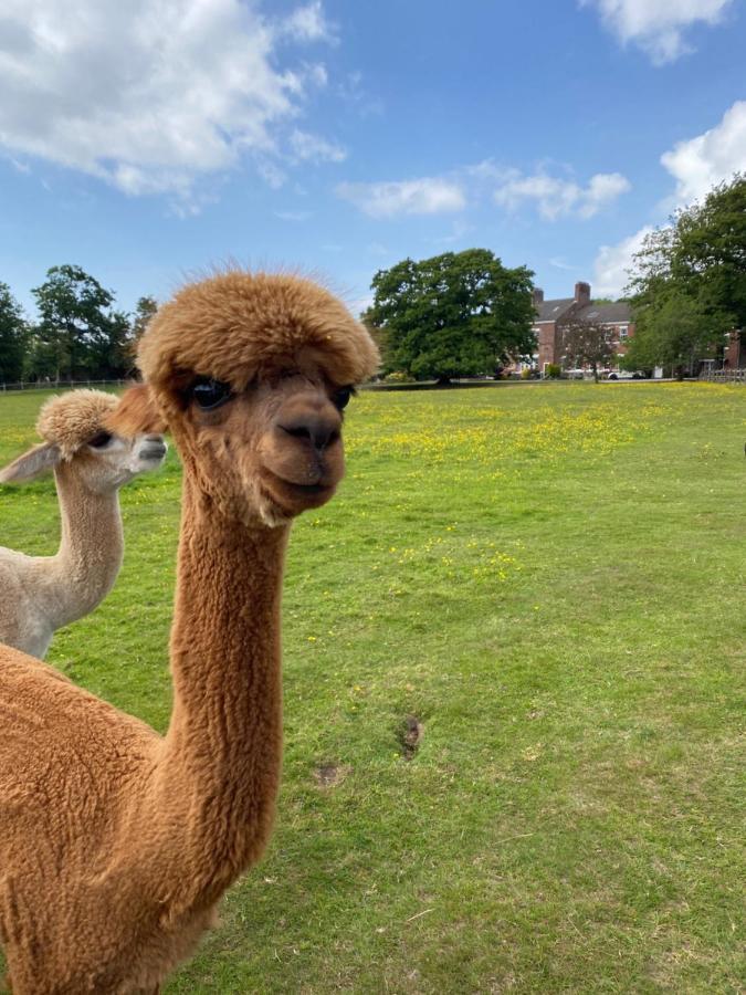 Singleton Lodge Country House Hotel Poulton-le-Fylde Luaran gambar